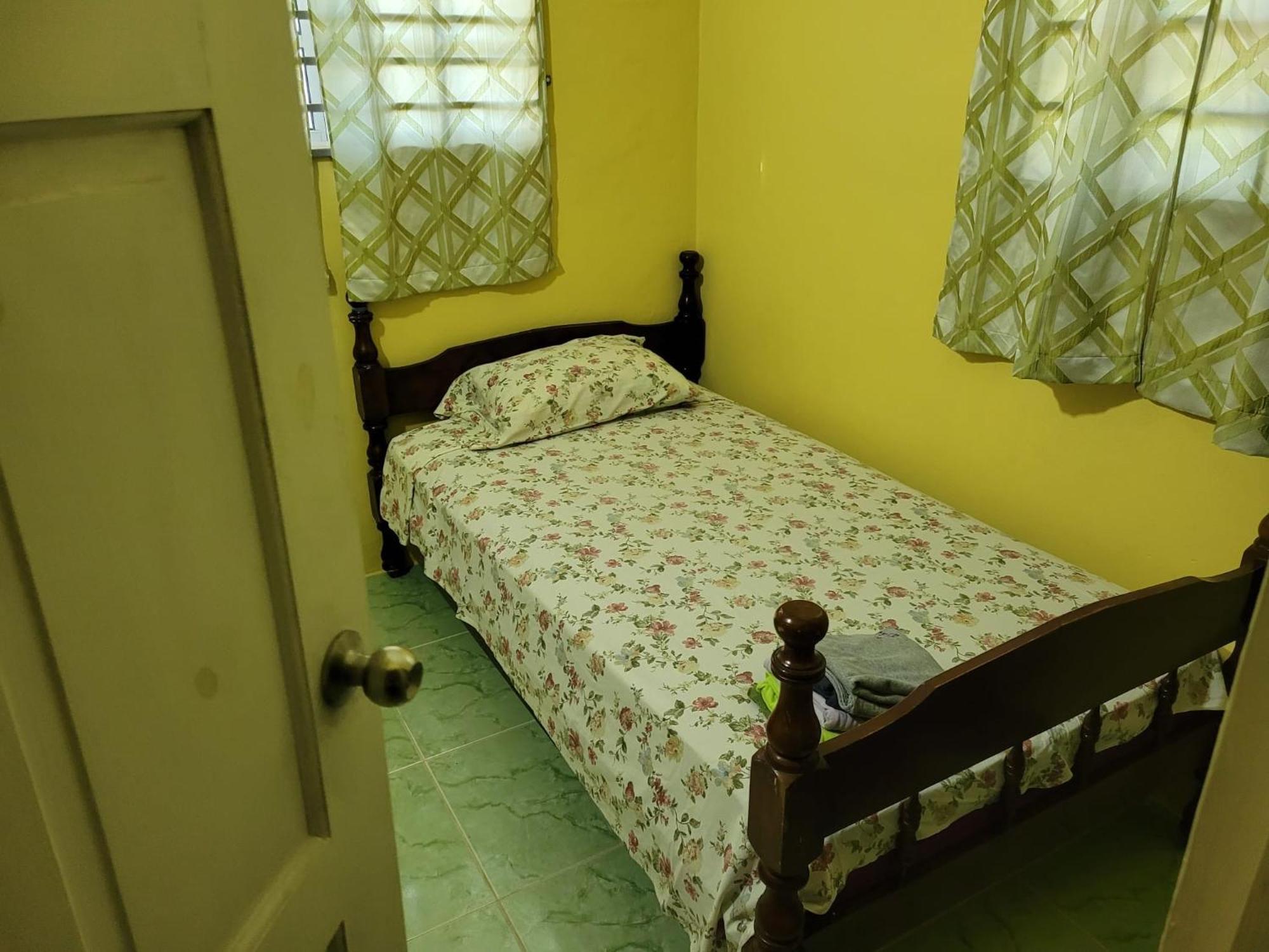 Tim'S & Mag'S Home Stay Roseau Esterno foto