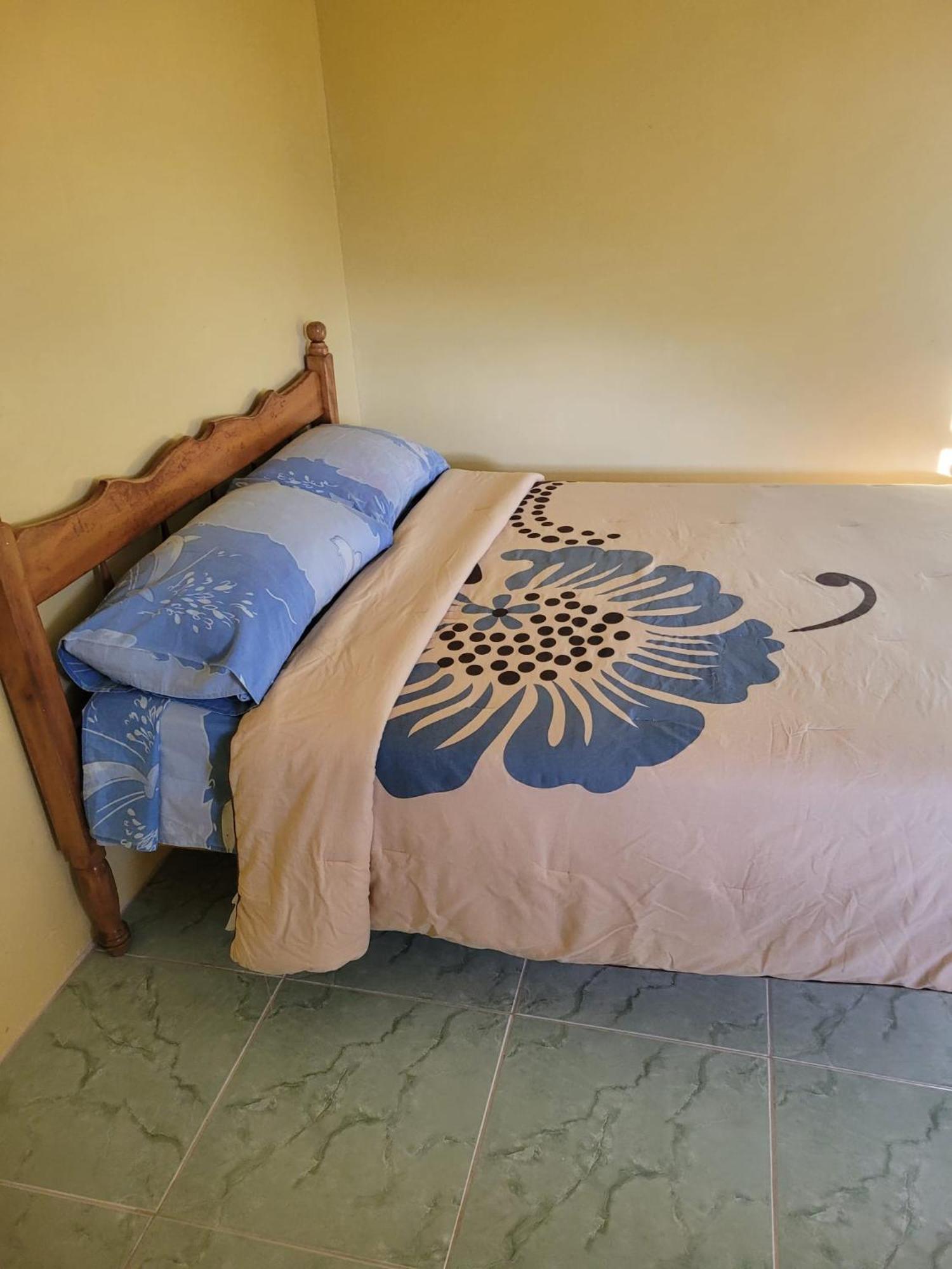Tim'S & Mag'S Home Stay Roseau Esterno foto